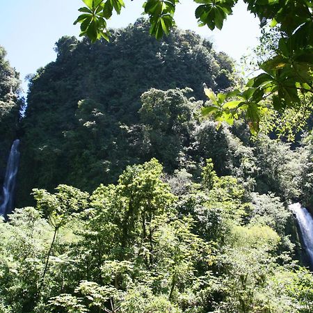 Natty Tropical Valley Roseau Esterno foto