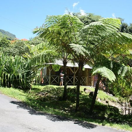 Natty Tropical Valley Roseau Esterno foto