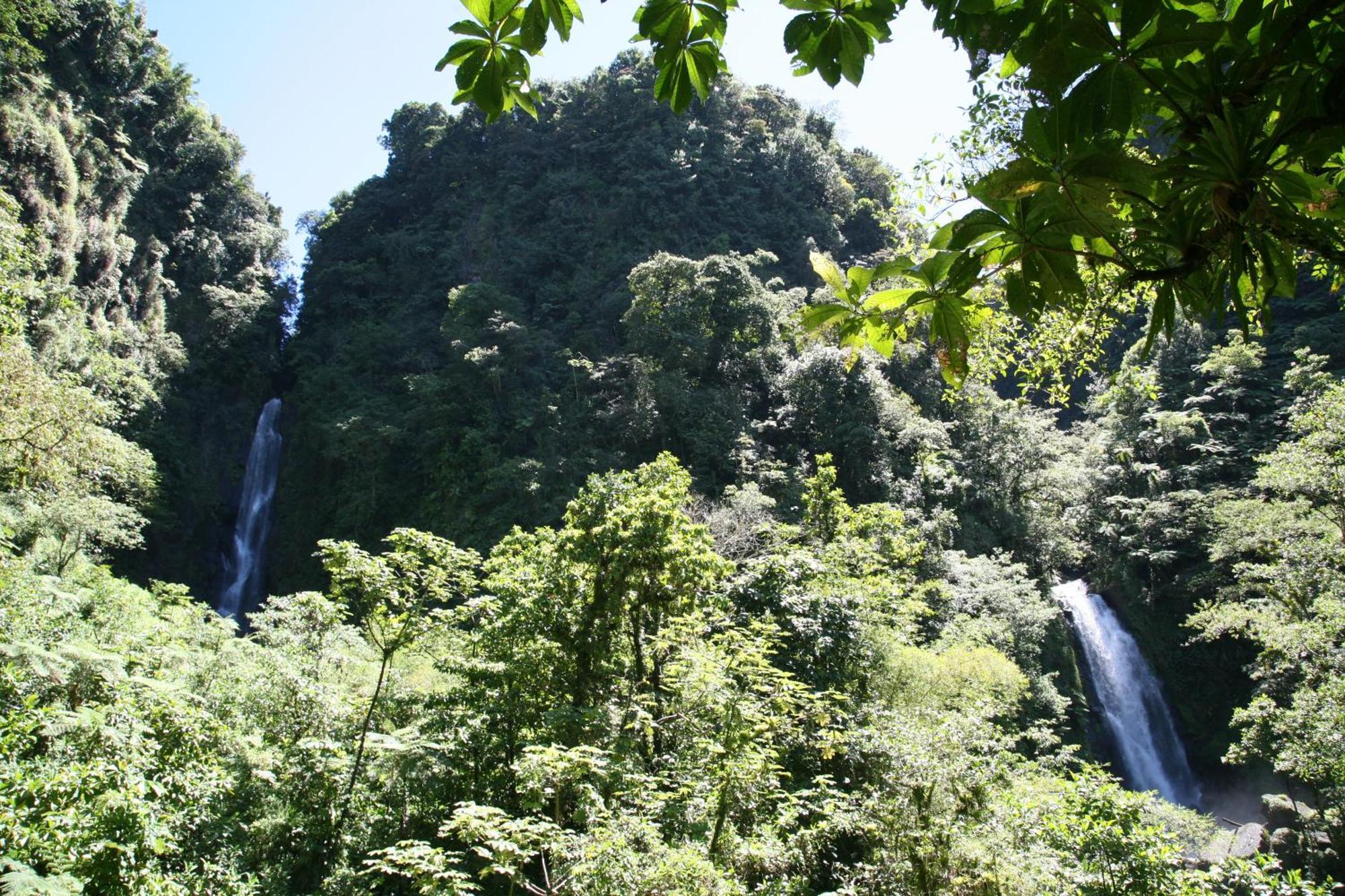 Natty Tropical Valley Roseau Esterno foto