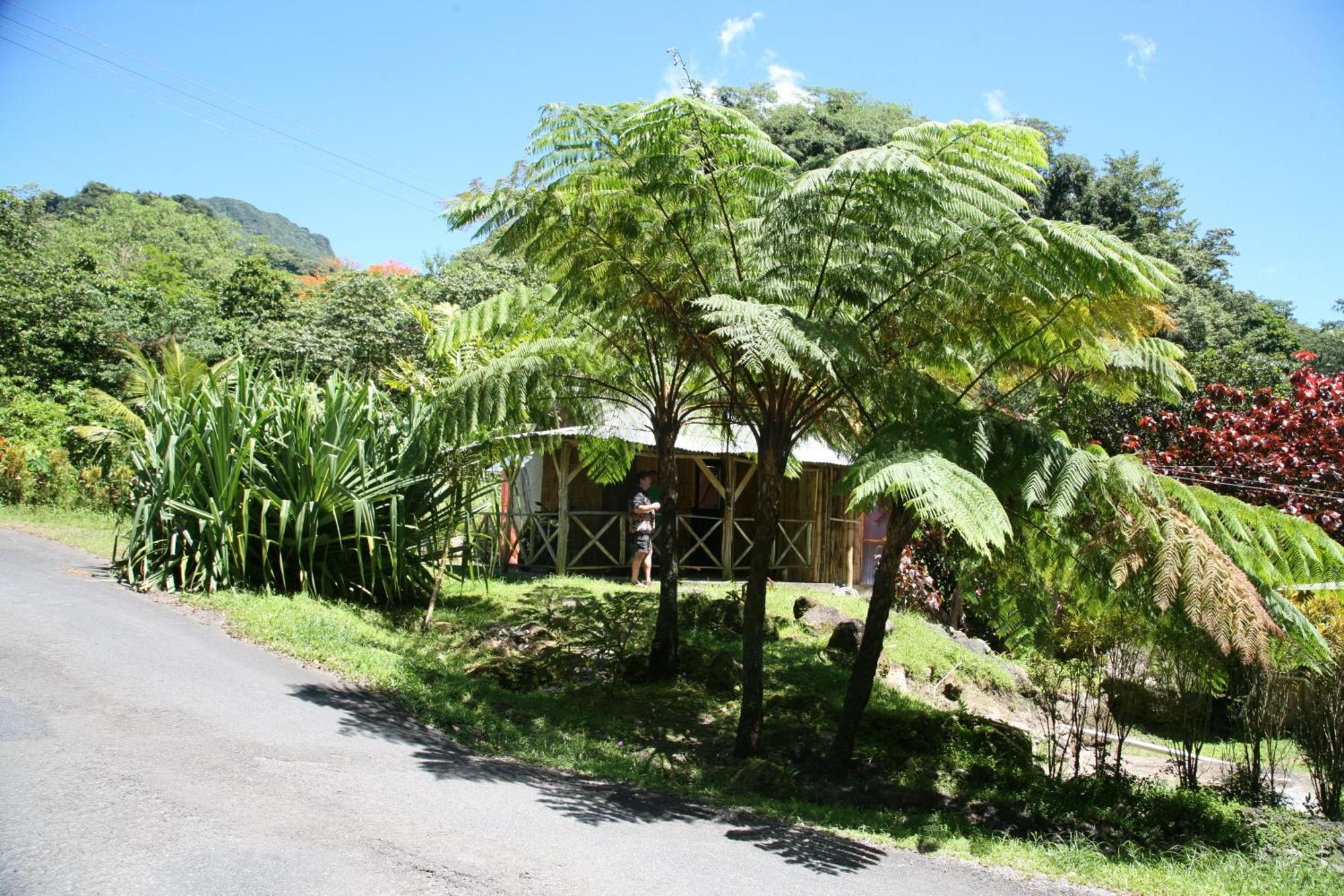 Natty Tropical Valley Roseau Esterno foto