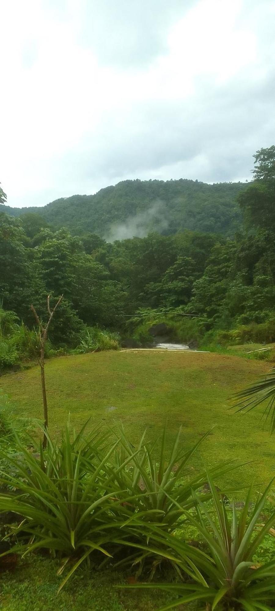 Natty Tropical Valley Roseau Esterno foto