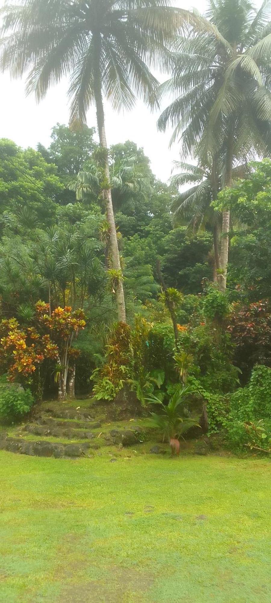 Natty Tropical Valley Roseau Esterno foto