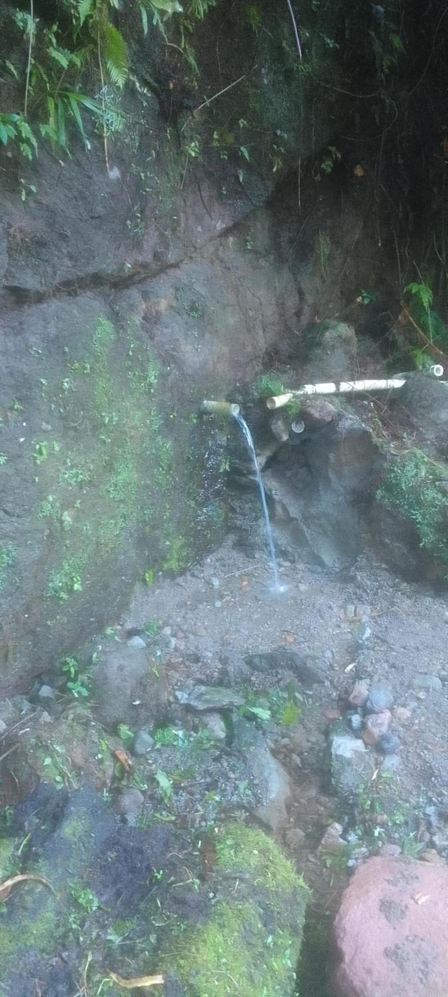 Natty Tropical Valley Roseau Esterno foto