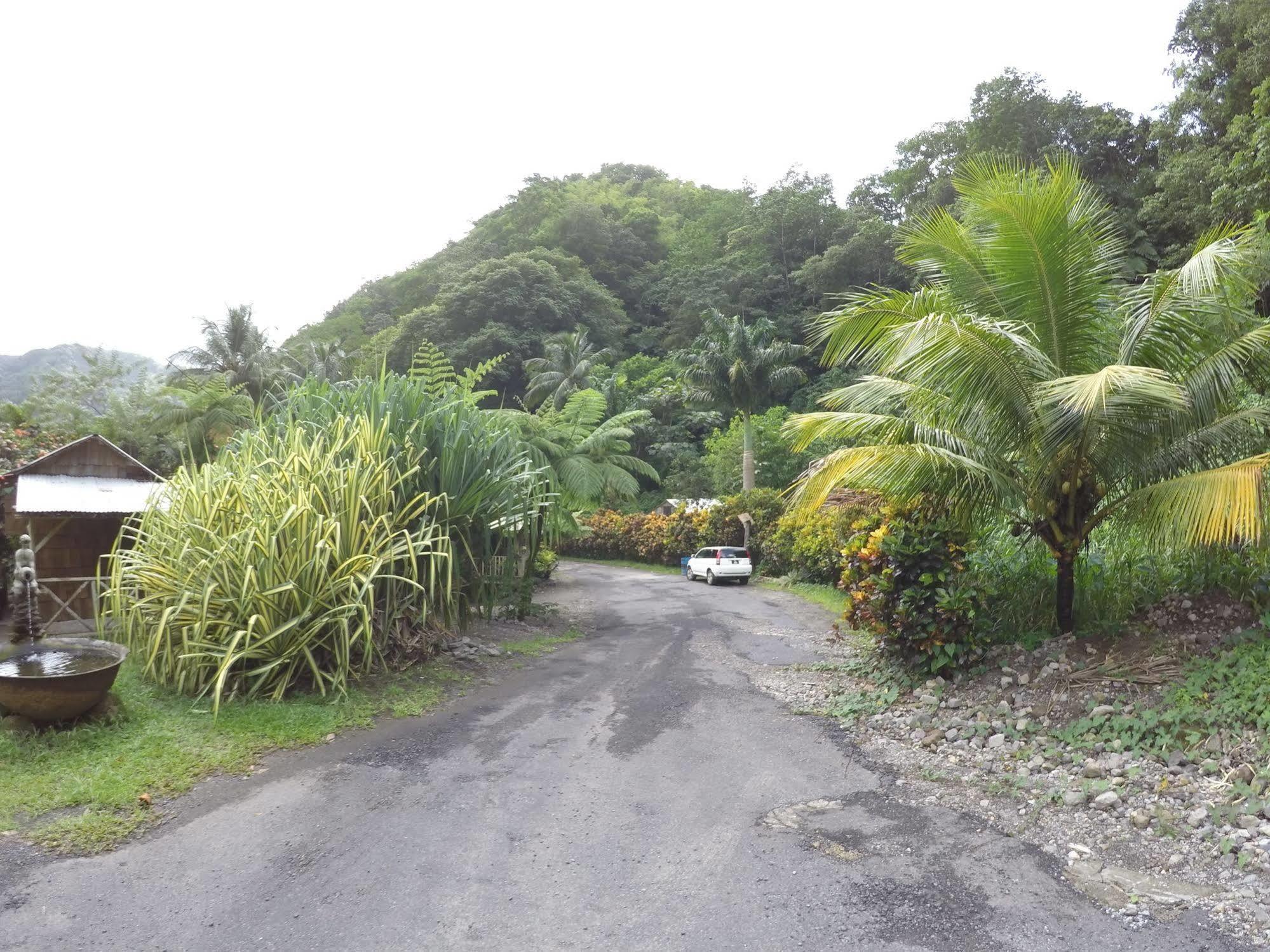Natty Tropical Valley Roseau Esterno foto