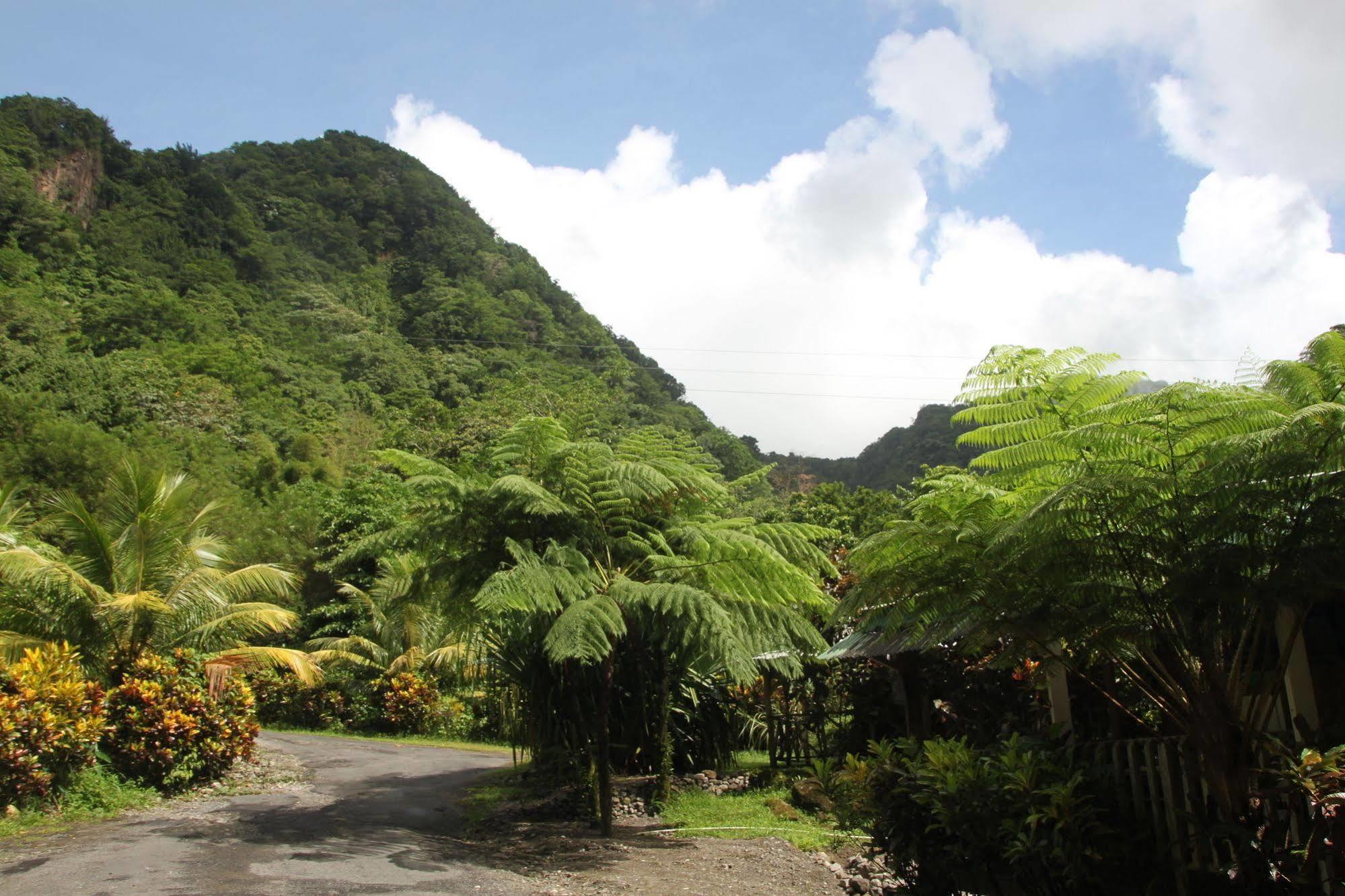 Natty Tropical Valley Roseau Esterno foto